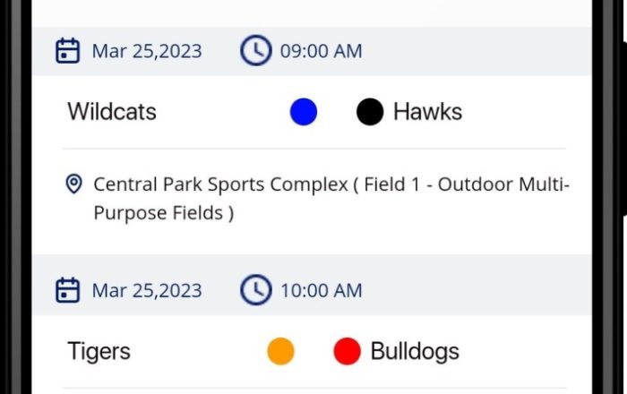 Sales Proposal League Source 3